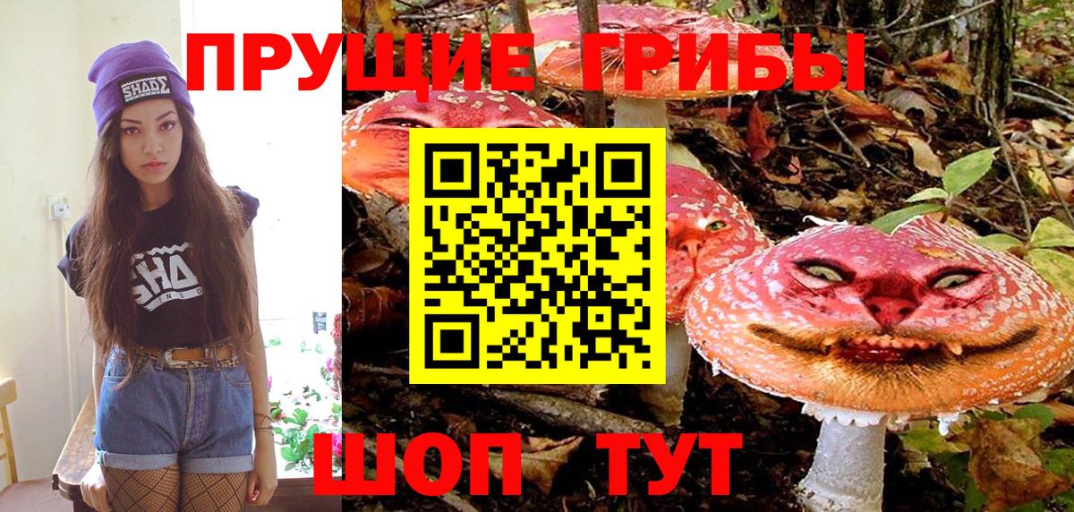 Галлюциногенные грибы Psilocybe  Вход с VPN  Магнитогорск  Галлюциногенные грибы Cubensis 